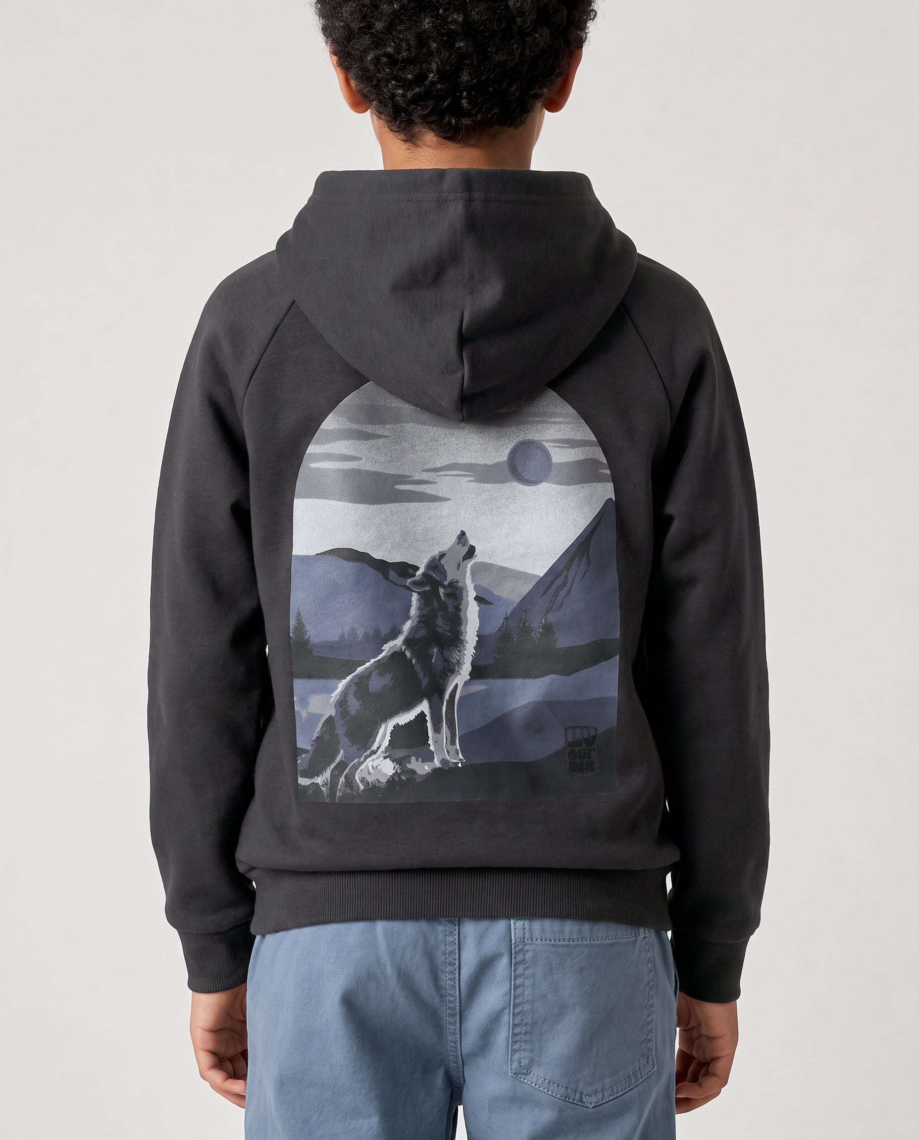 Boys Graphic Pullover Hoodie